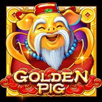 Golden Pig